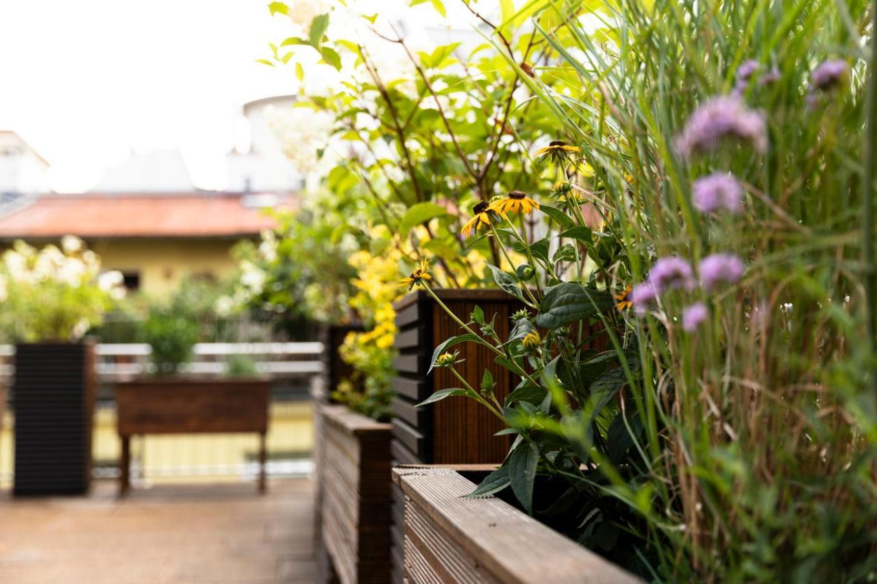 Apartamento Dream Apartment, Terrace, Parking Available