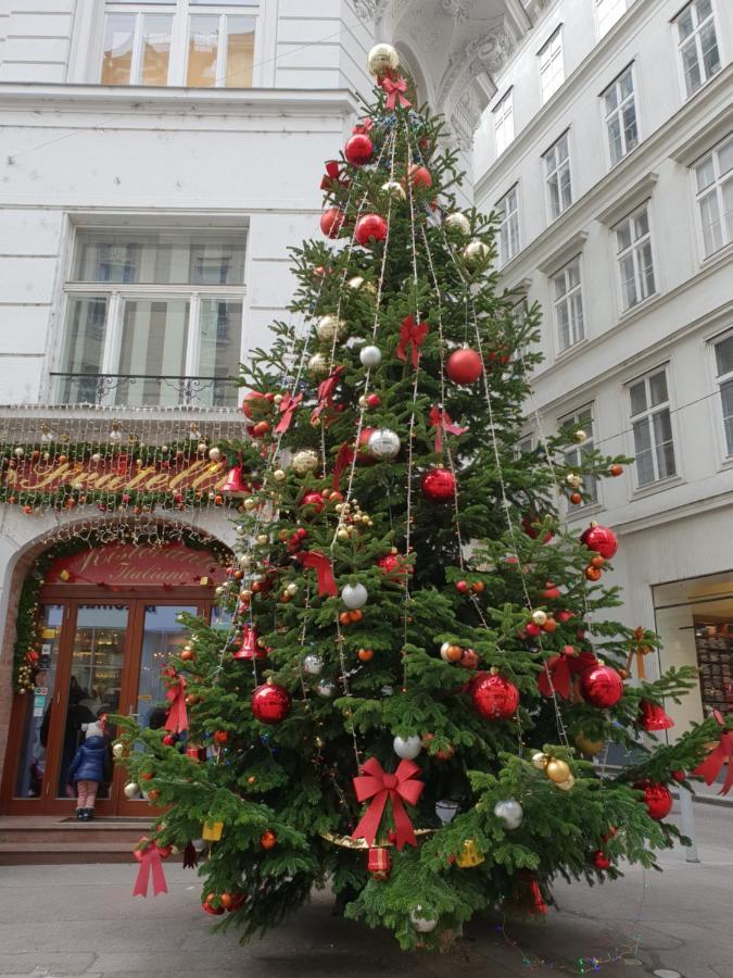 Spirit Apartamento Viena