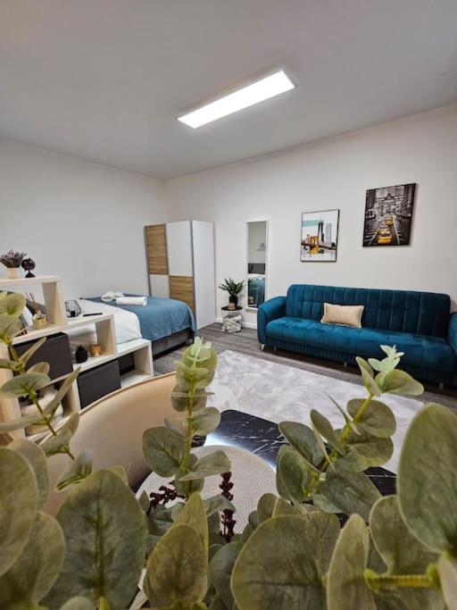 Affordable In Vienna's Hotpoint