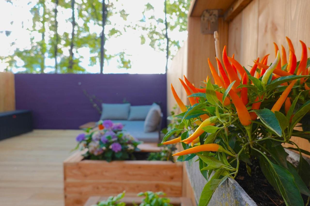 Private Terrace, 8 Min To Center Appartamento Vienna