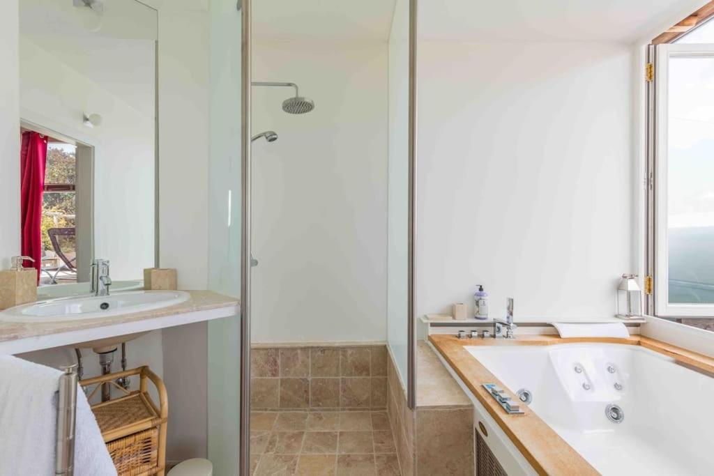 Whirlpool , Dachterrasse , Wienblick , Zwei Etagen Apartment