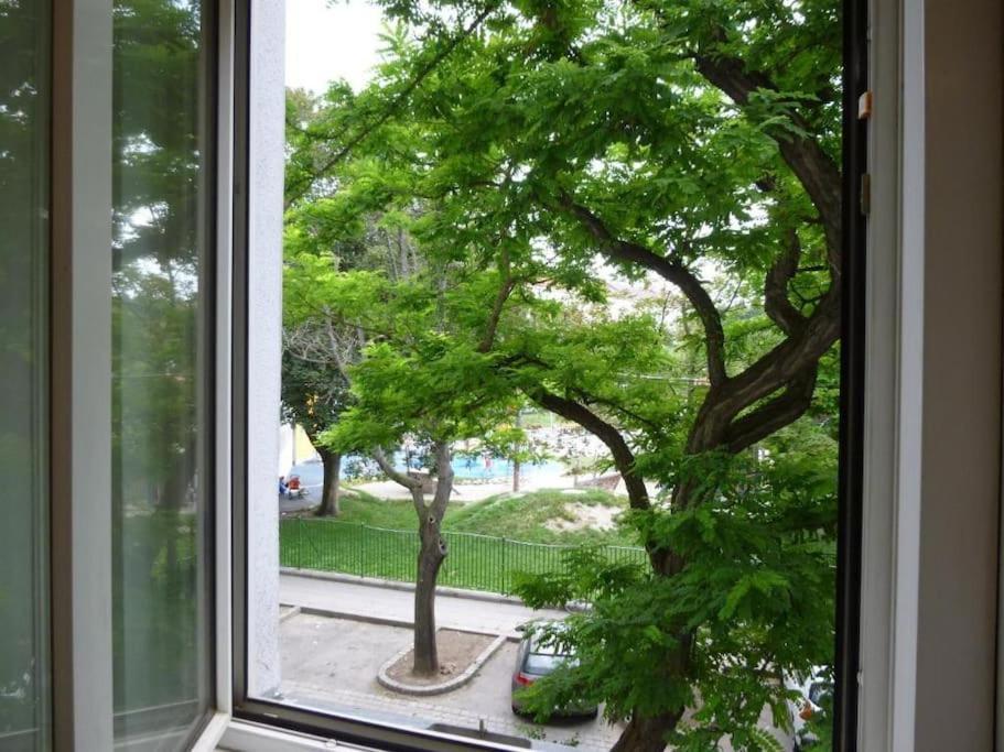 Charming Apartment *