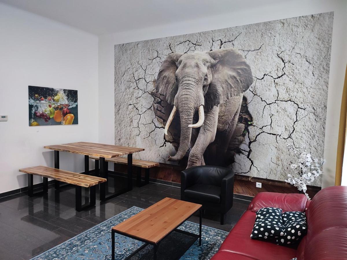 Apartment Near Schoenbrunn Palace *