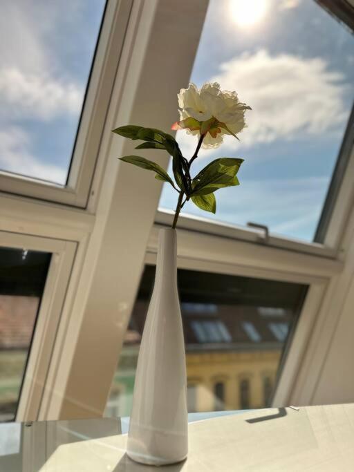 Apartment Chic & Modern In Beautiful L Hg30