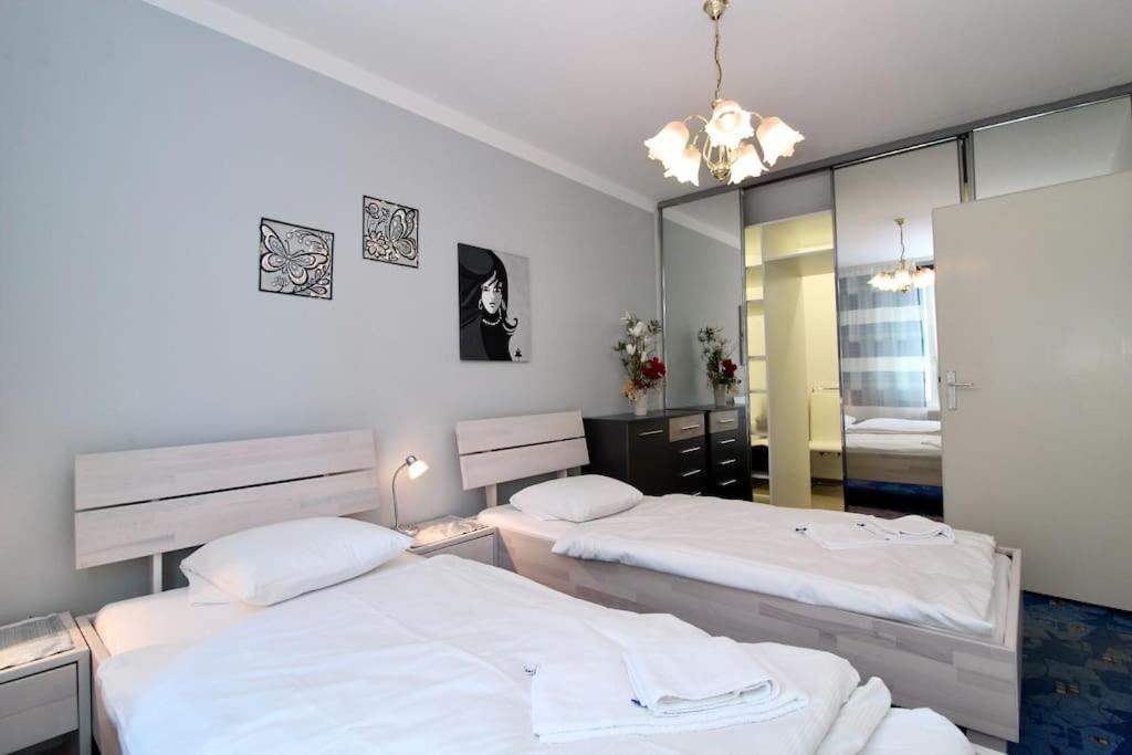 Cozy Free Parking * Viena