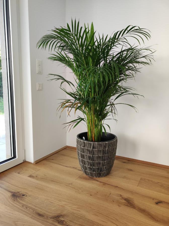 Apartment Roksox-home Gegenueber Der Uno-city Und Kaiserwasser Vienna