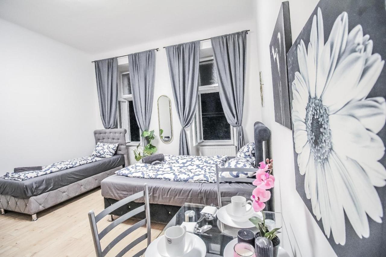 Comfort Quad Hn Viena