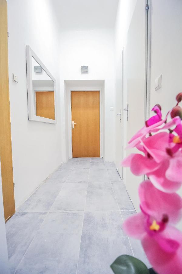 Comfort Quad Hn Apartamento *