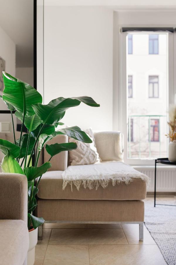 Bright & Cozy 3 Near Everything