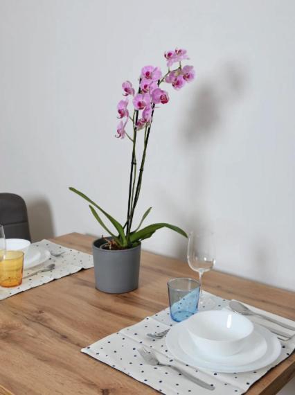 Apartamento Urban Viena