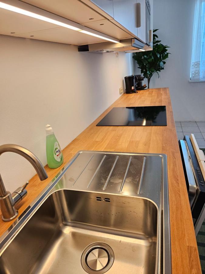 City Oasis With Brand-new Kitchen 1br * Vienna
