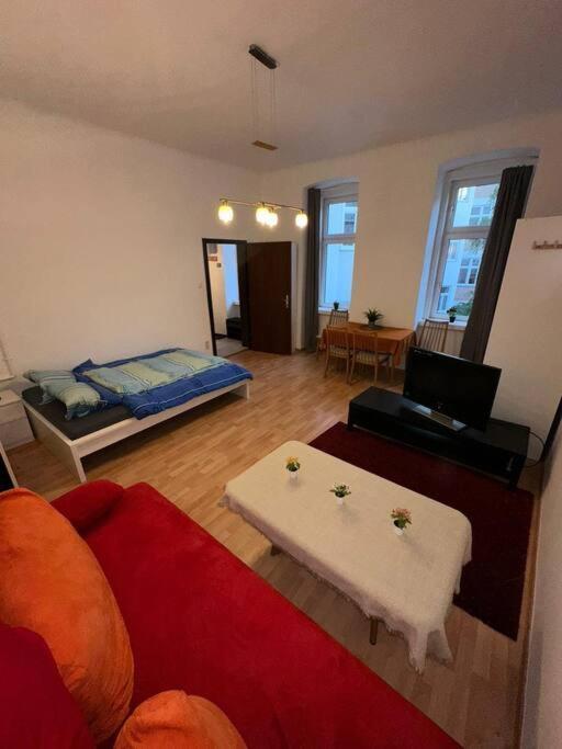 Super Cozy Apartment