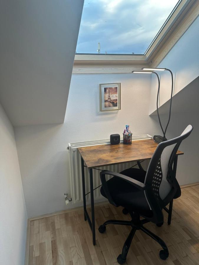 Apartment Klimatisiertes Dachgeschoss City In Zentrum Wiens Vienna