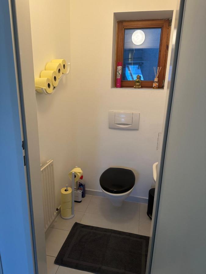 Apartment Klimatisiertes Dachgeschoss City In Zentrum Wiens *