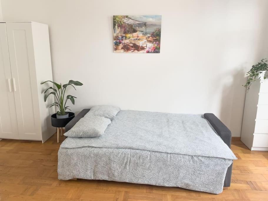 Perner11 Viena