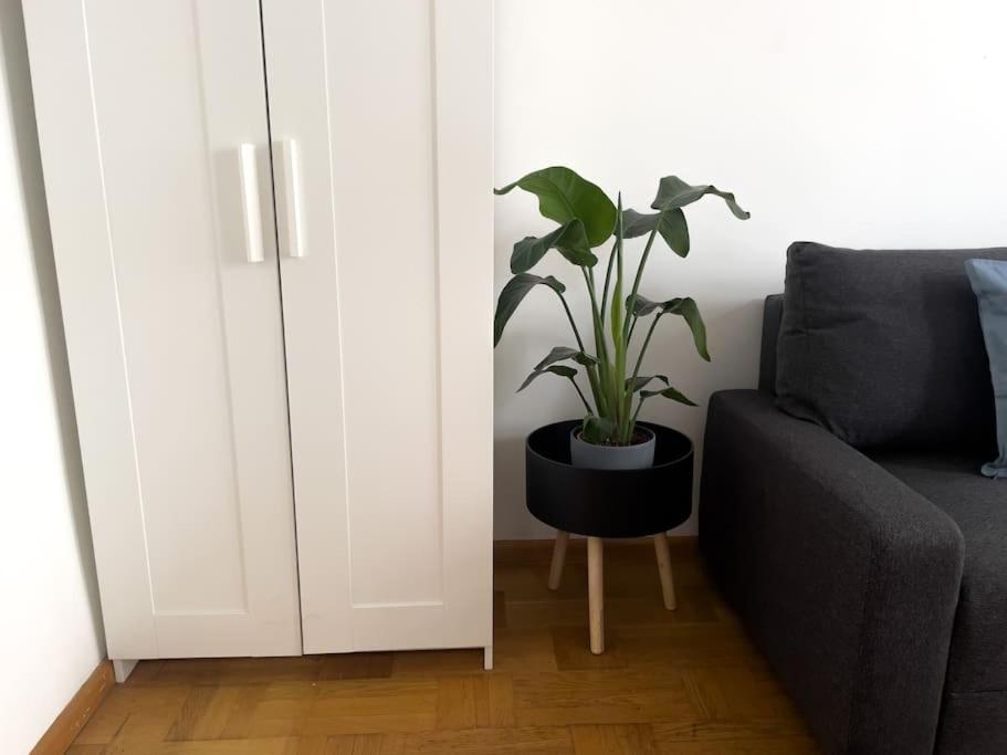 Perner11 * Viena