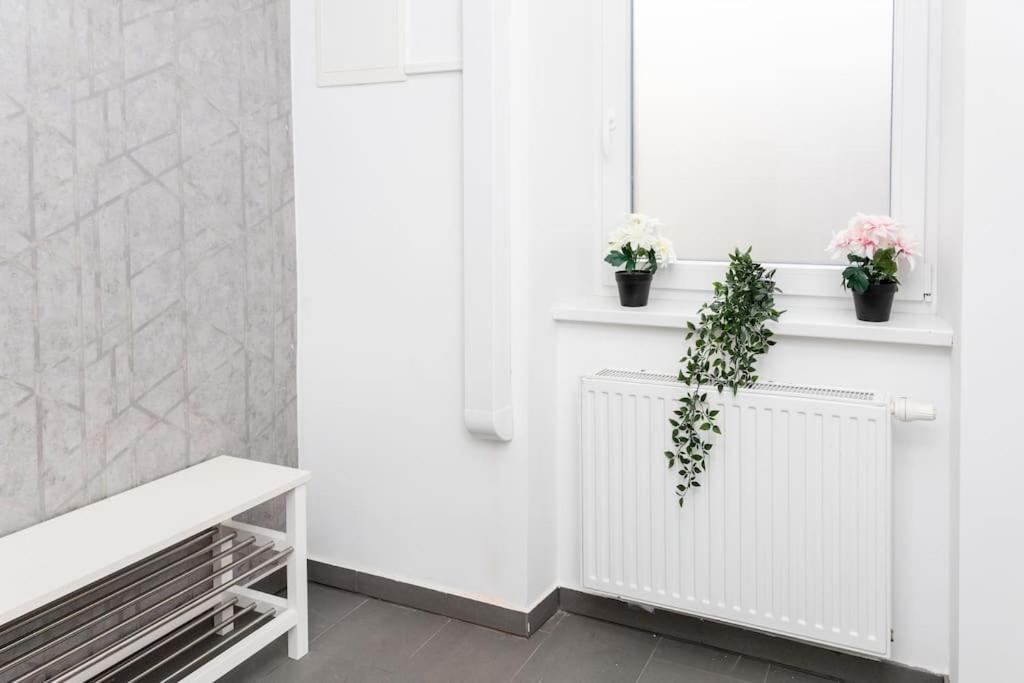 Orestaliving- 3br On The Daube Canal/friedensbruecke Viena