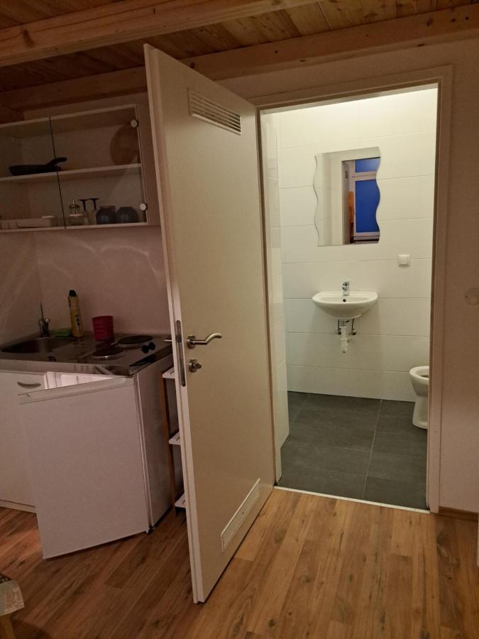 Apartment Relax & Belvedere 10 Minutes To Downtown Vienna