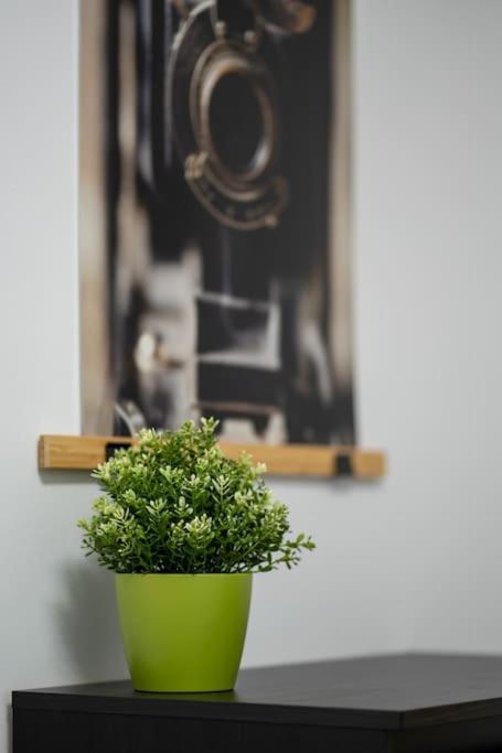 Apartamento Huge Flat With Terrace & Parking And 3 Bed *