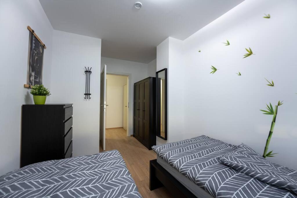 Apartment Huge Flat With Terrace & Parking And 3 Bed