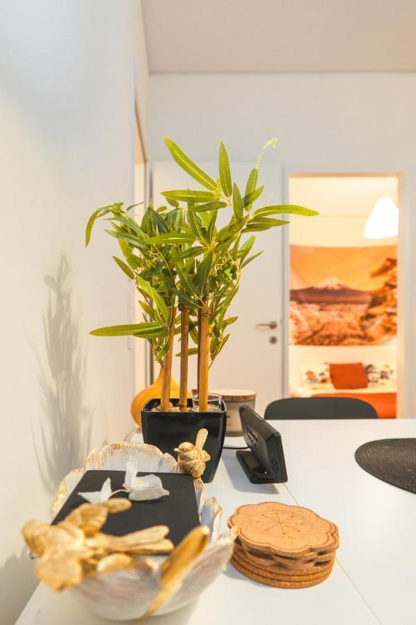 Relaxed Zen-apartment In Area And Amazing View Apartment