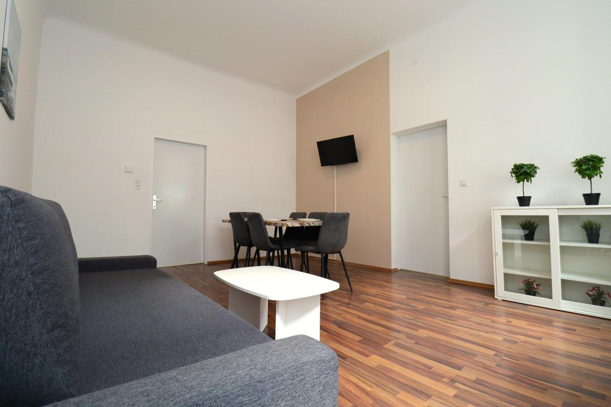 Apartment City-palace 1020 Vienna