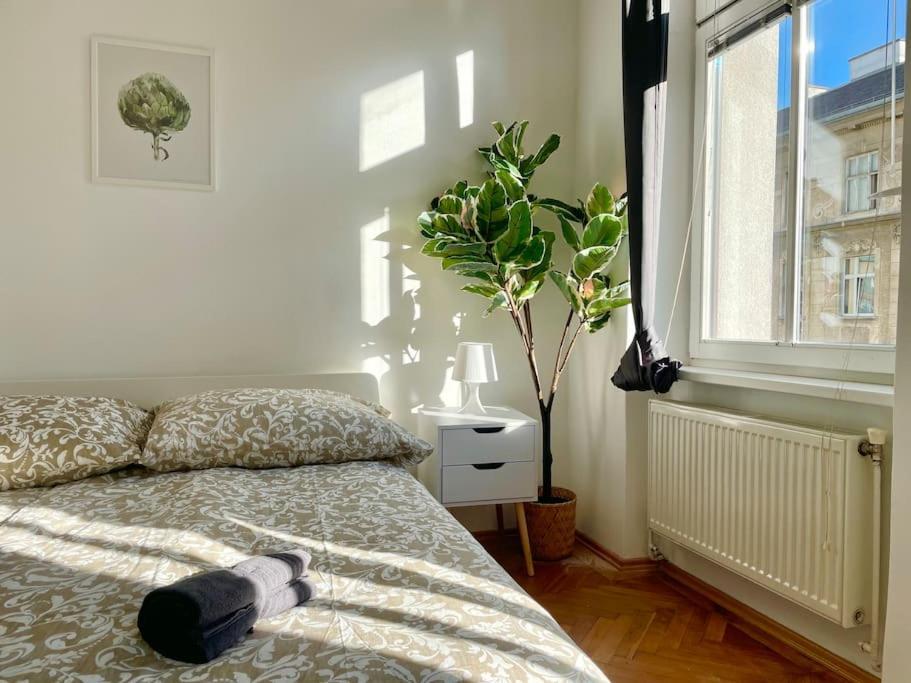 Apartment Classy 60 M2 - Free Parking