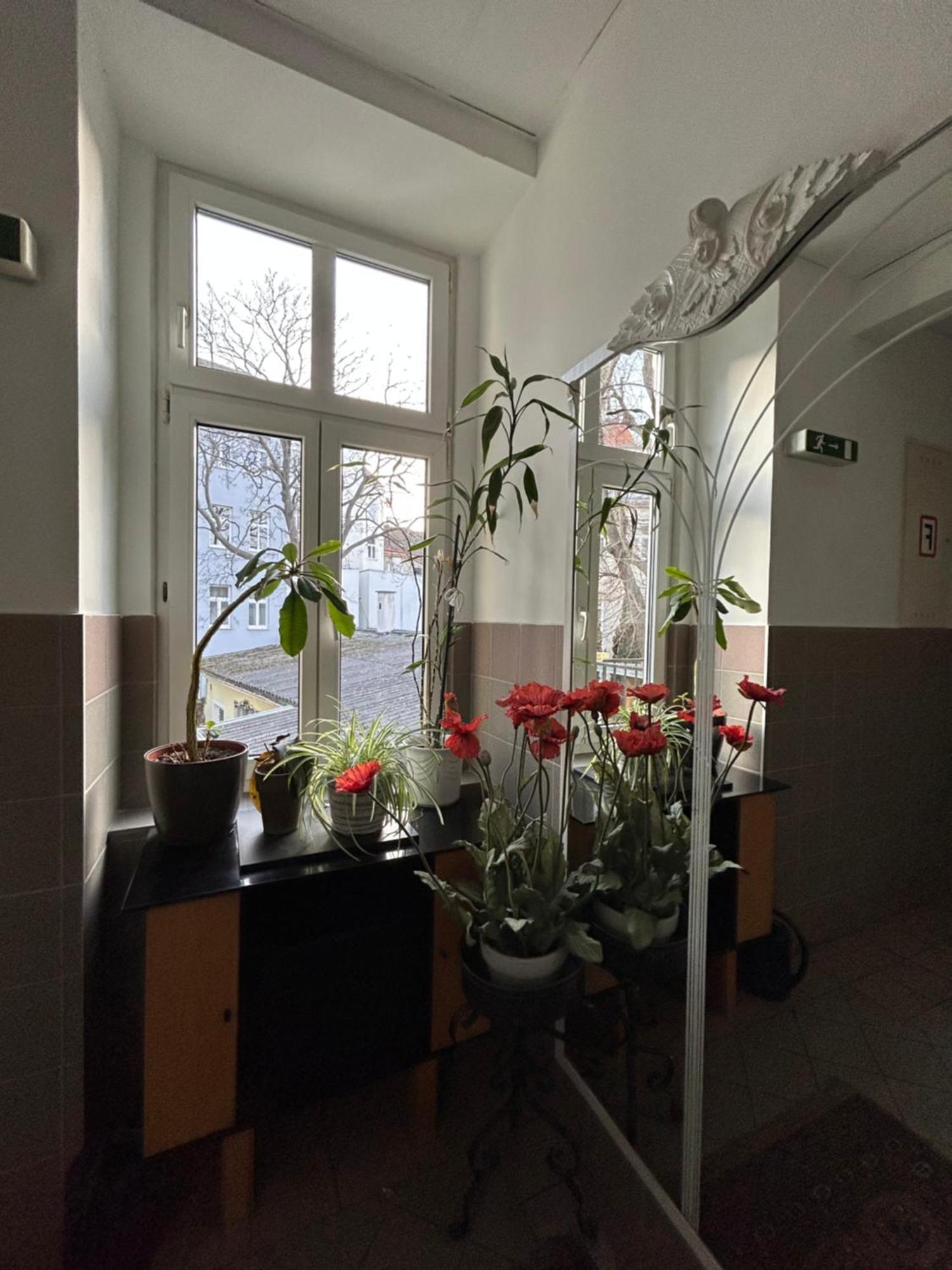 Reiner 12 Vienna