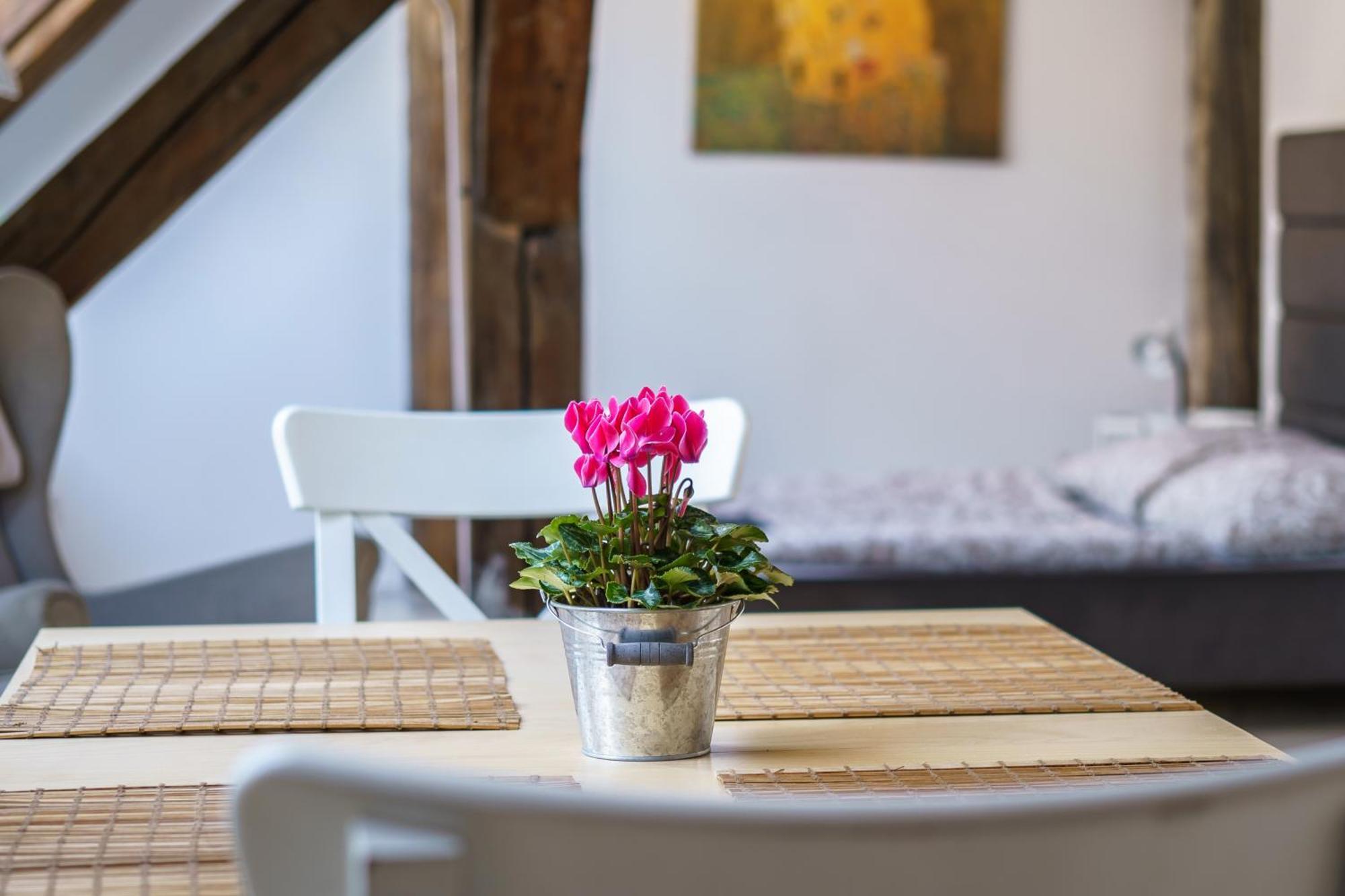 Apartment Living - Berggasse