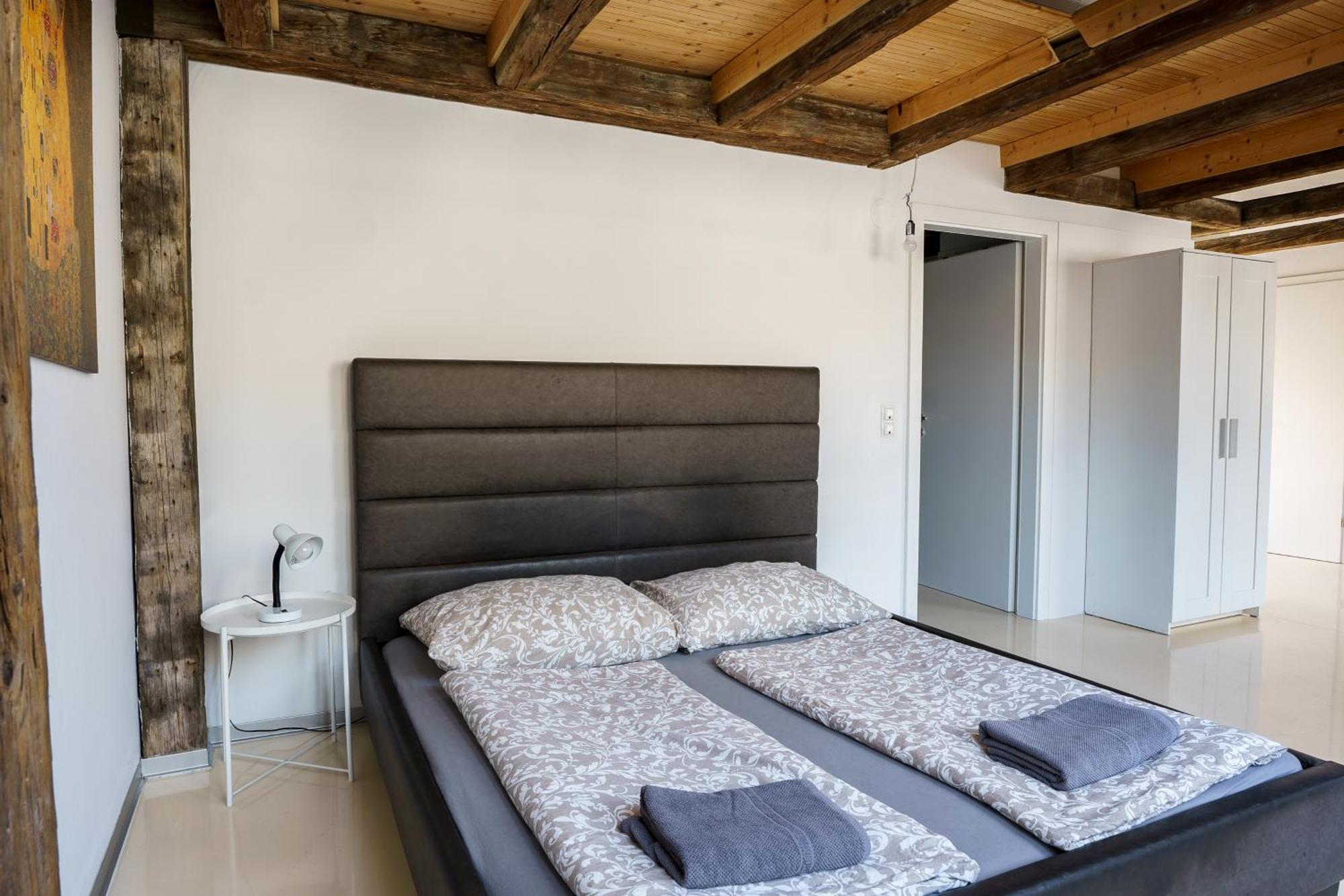 Living - Berggasse Apartment Vienna
