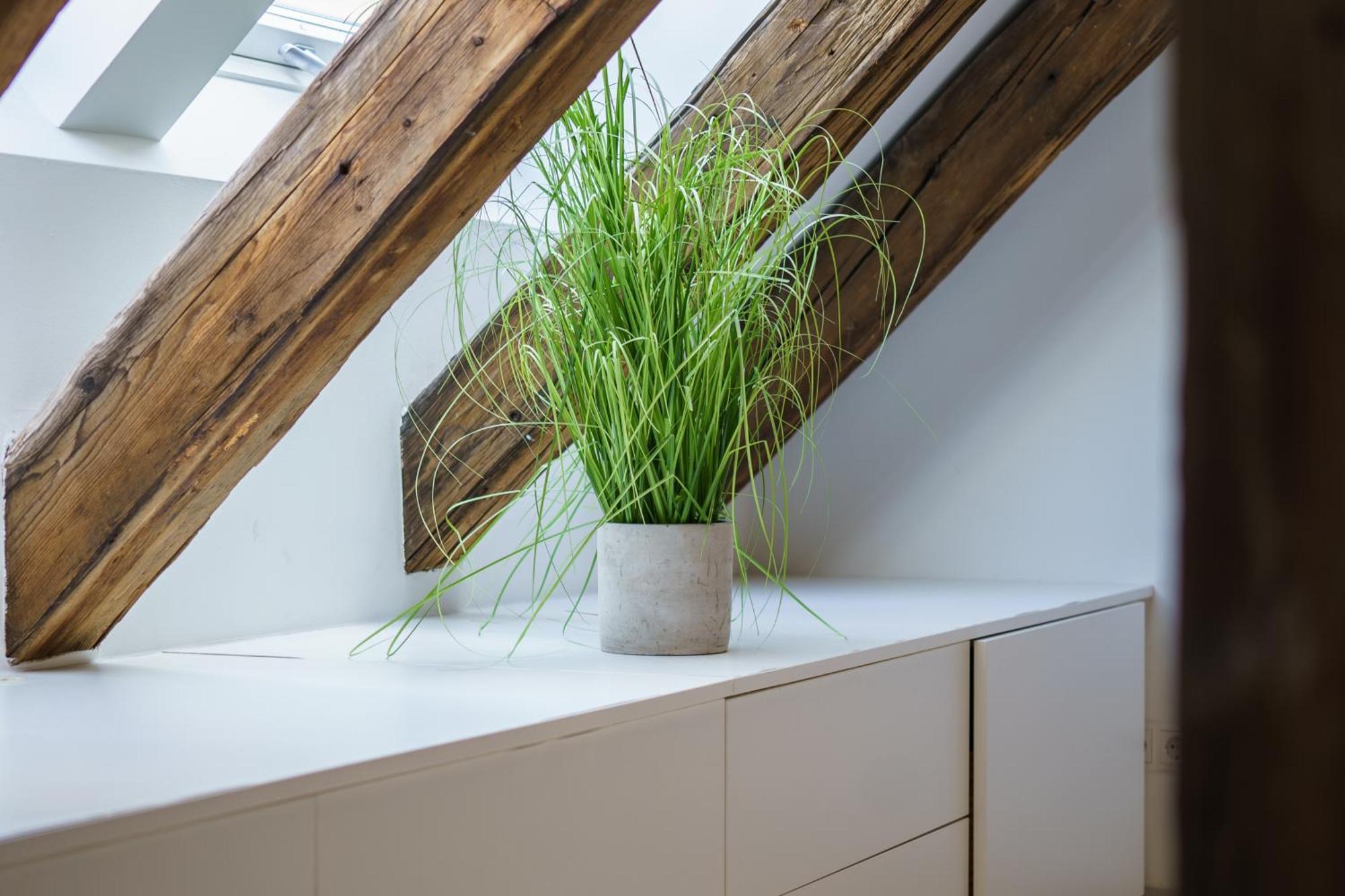 Apartment Living - Berggasse Vienna