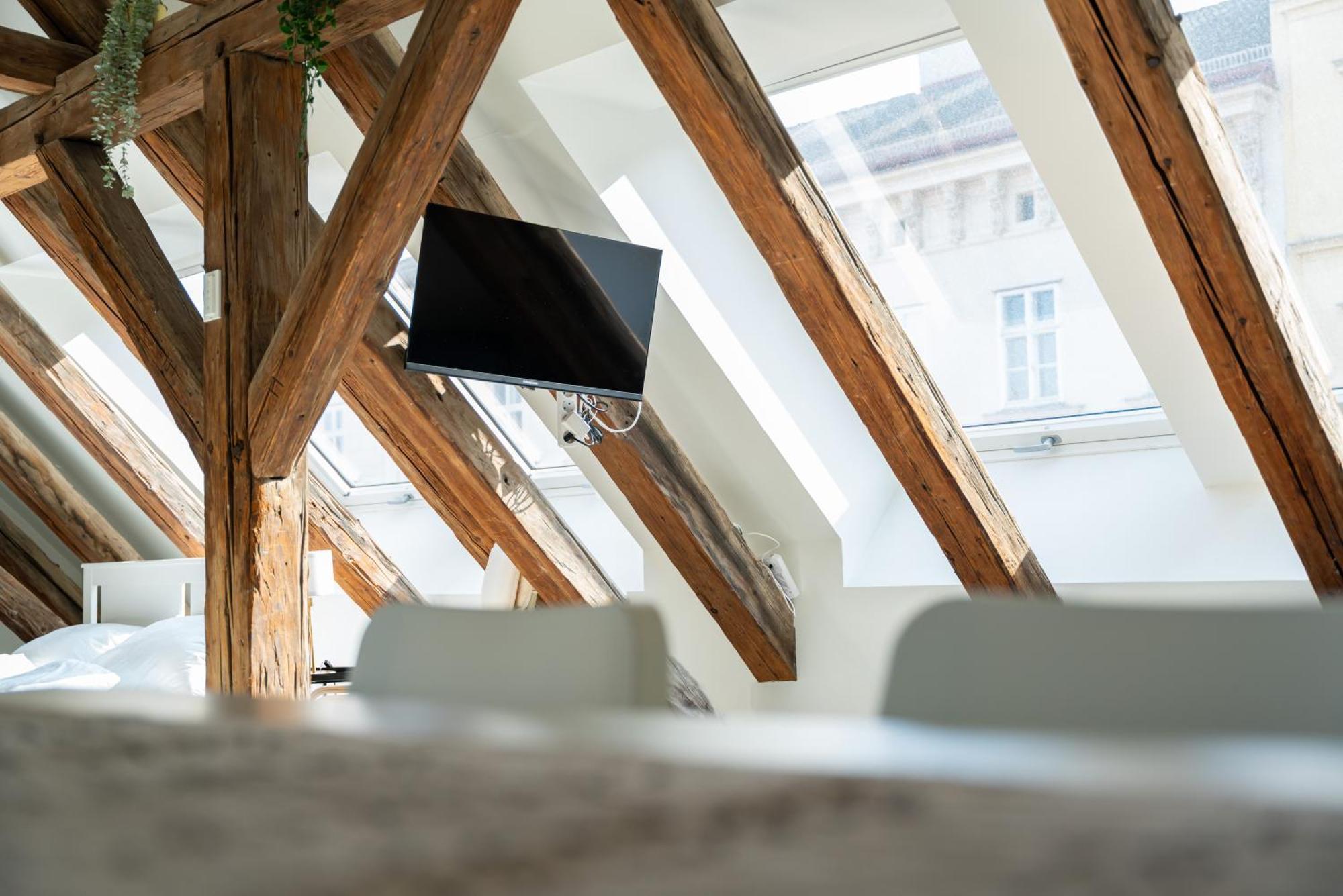 Apartment Living - Berggasse *