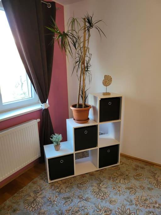 Apartment Enjoy