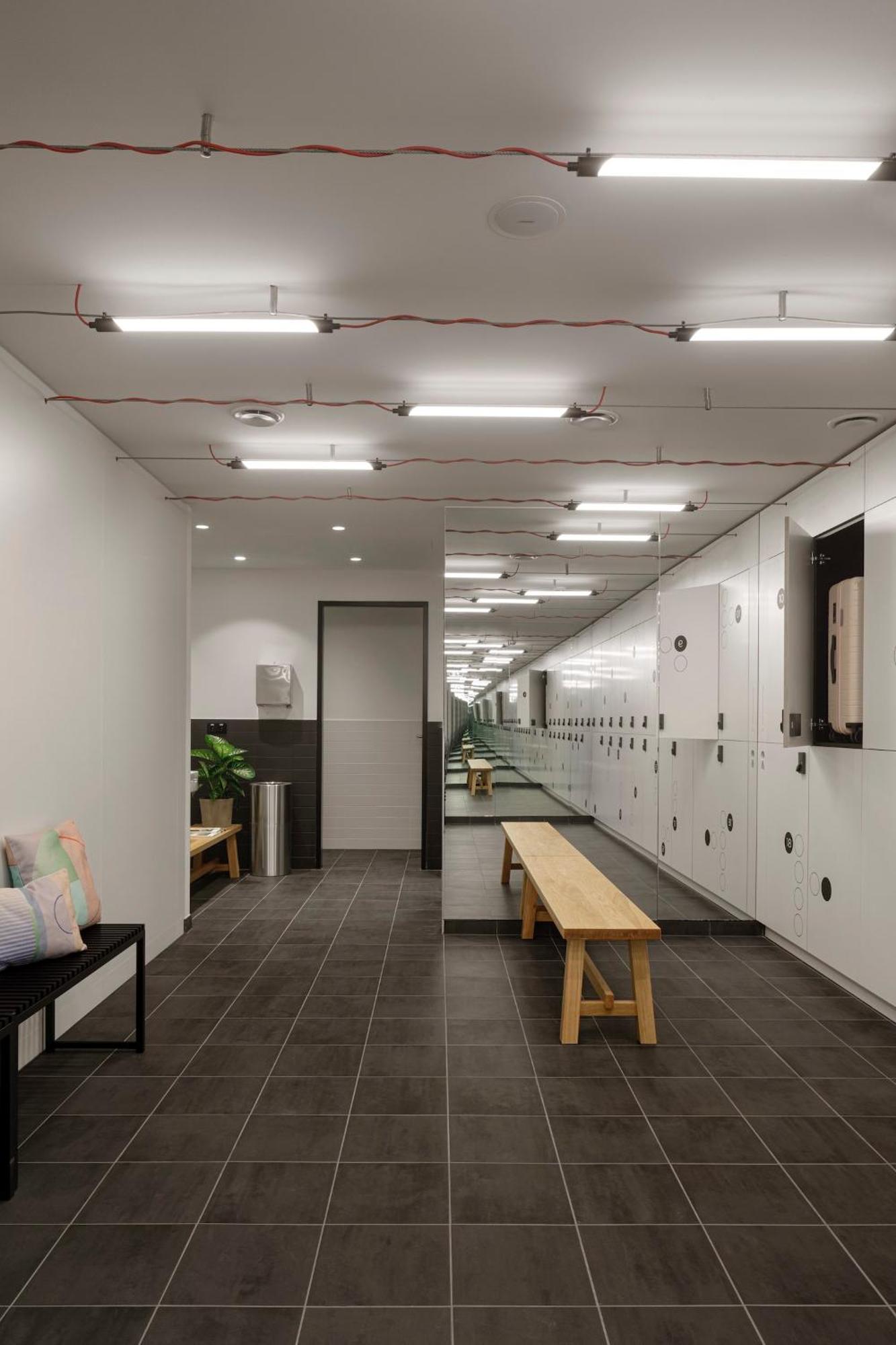 Zoku
