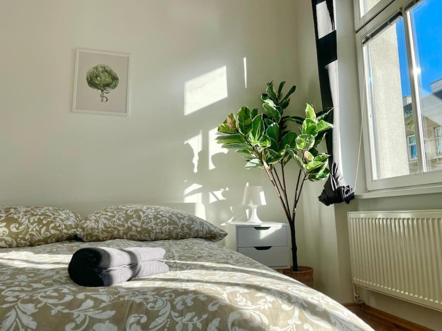 Apartment Classy 60 M2 - Free Parking *