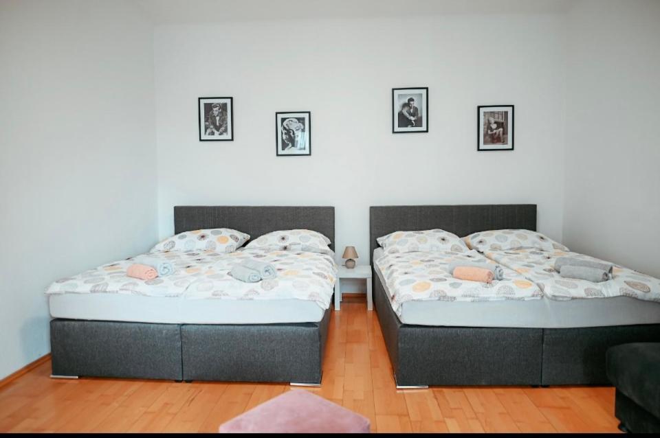 Raimond 27 Vienna
