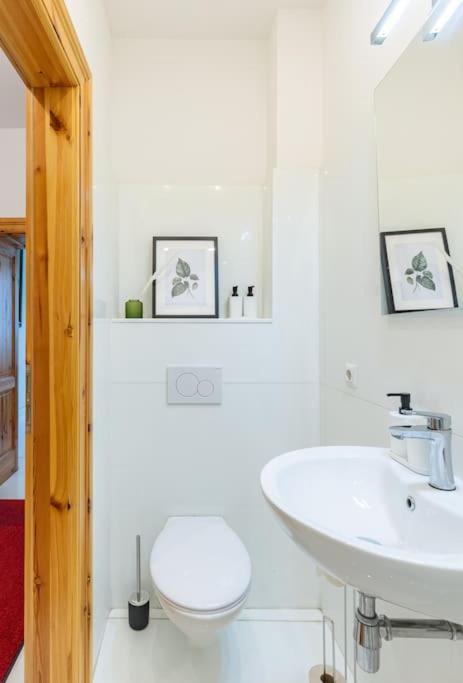 Antikes Und Luxurioeses Mit Sauna Apartment Vienna