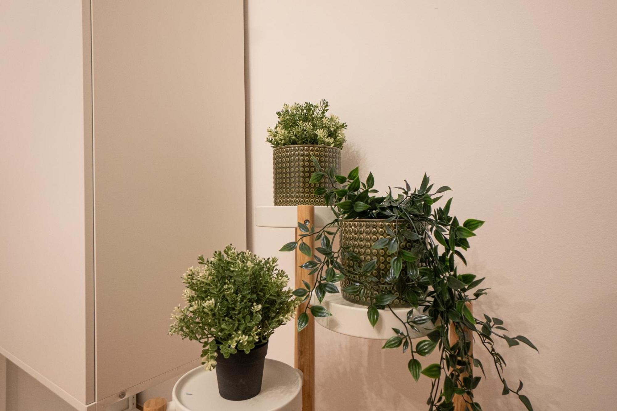 Apartment 2-room In A 1st District Of Wien