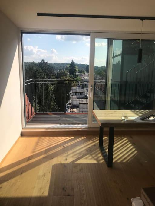 Grosszuegiges Dachterrassen-appartment Mit Klimaanlage Und Wunderbarem Ausblick * Vienna