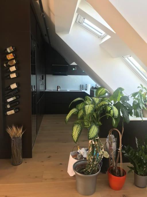 Grosszuegiges Dachterrassen-appartment Mit Klimaanlage Und Wunderbarem Ausblick Apartment *