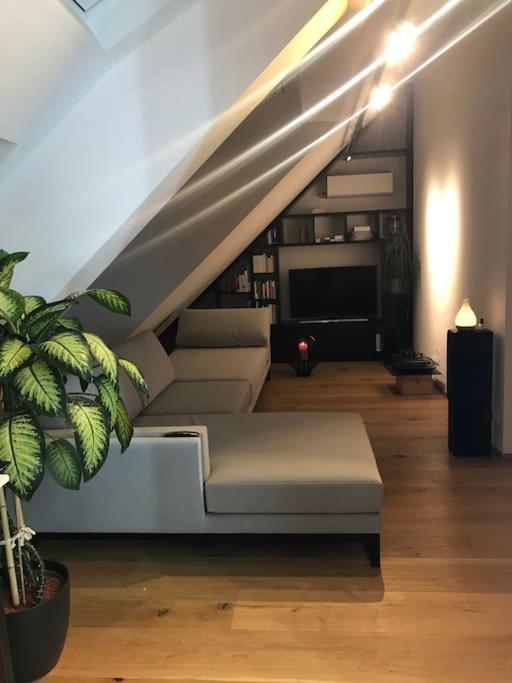 Grosszuegiges Dachterrassen-appartment Mit Klimaanlage Und Wunderbarem Ausblick * Vienna