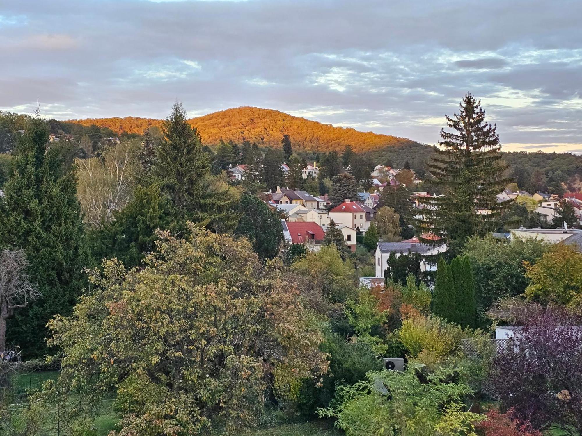 Willkommen Am Wolfersberg In Apartment *