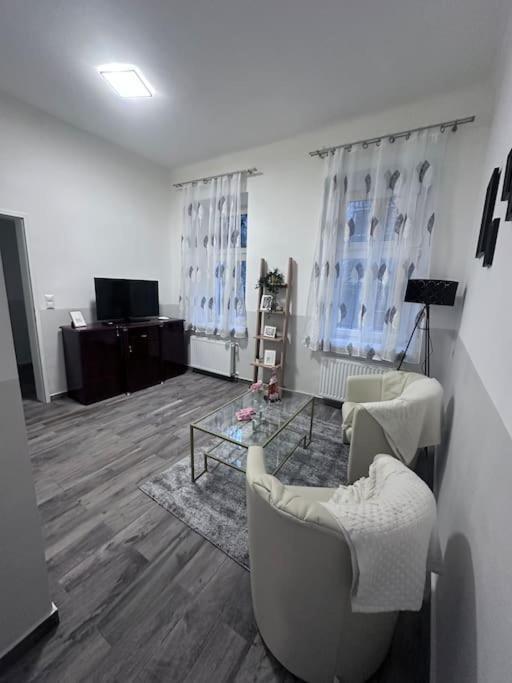 Cozy Homes Apartment *