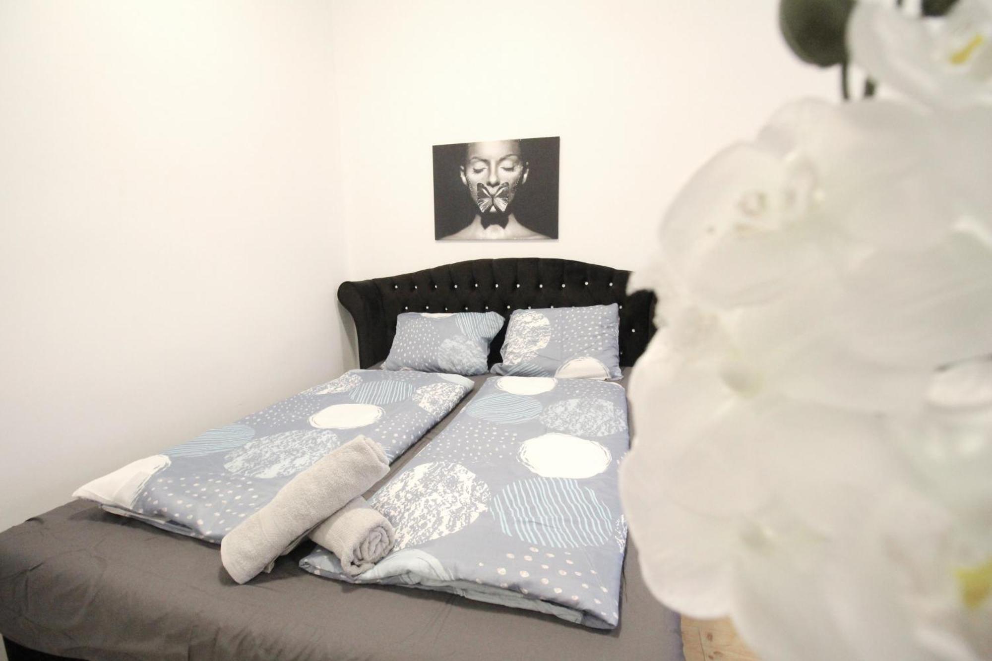 Comfort Hg * Wien