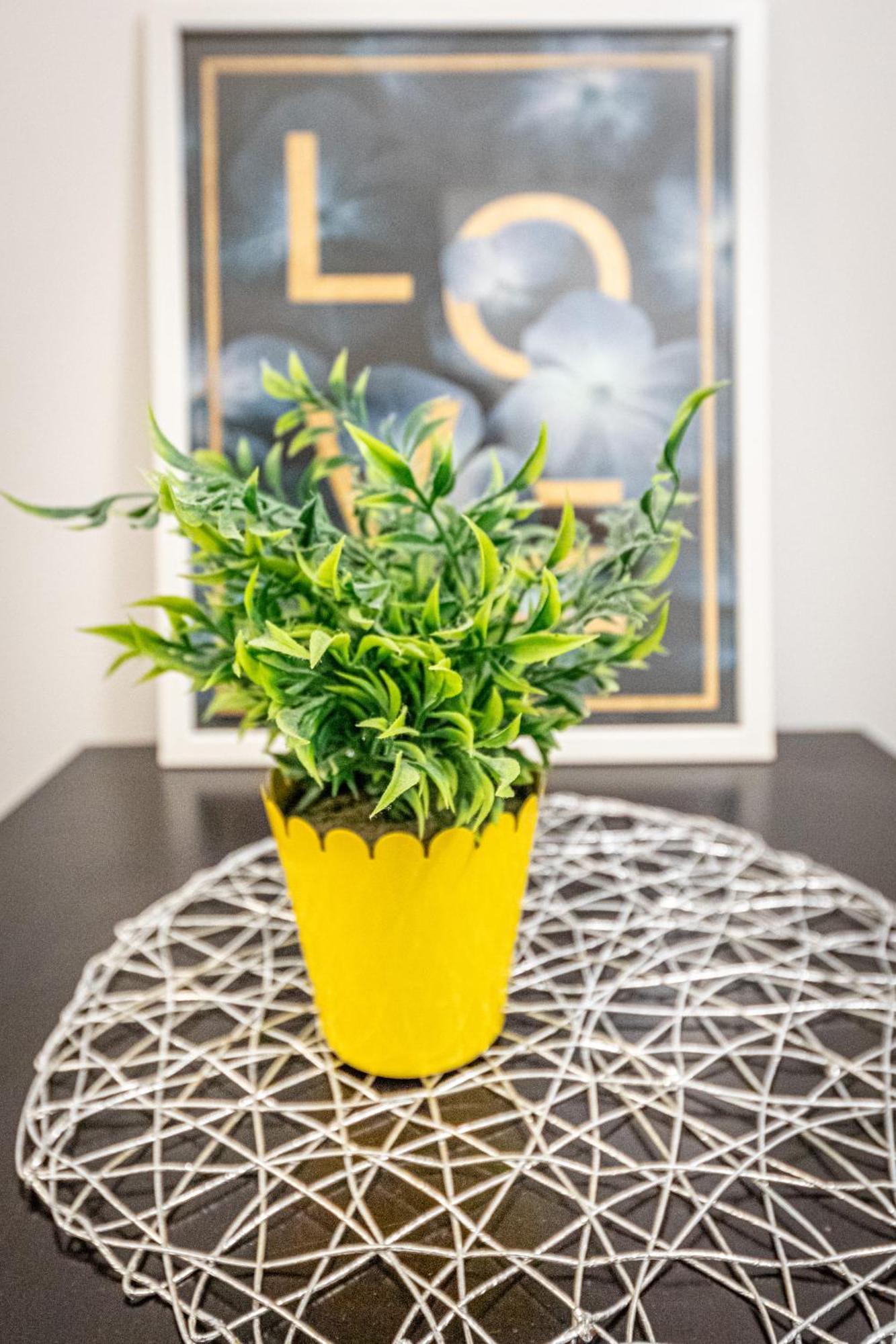 & Affordable By Jr Homestay Vienna