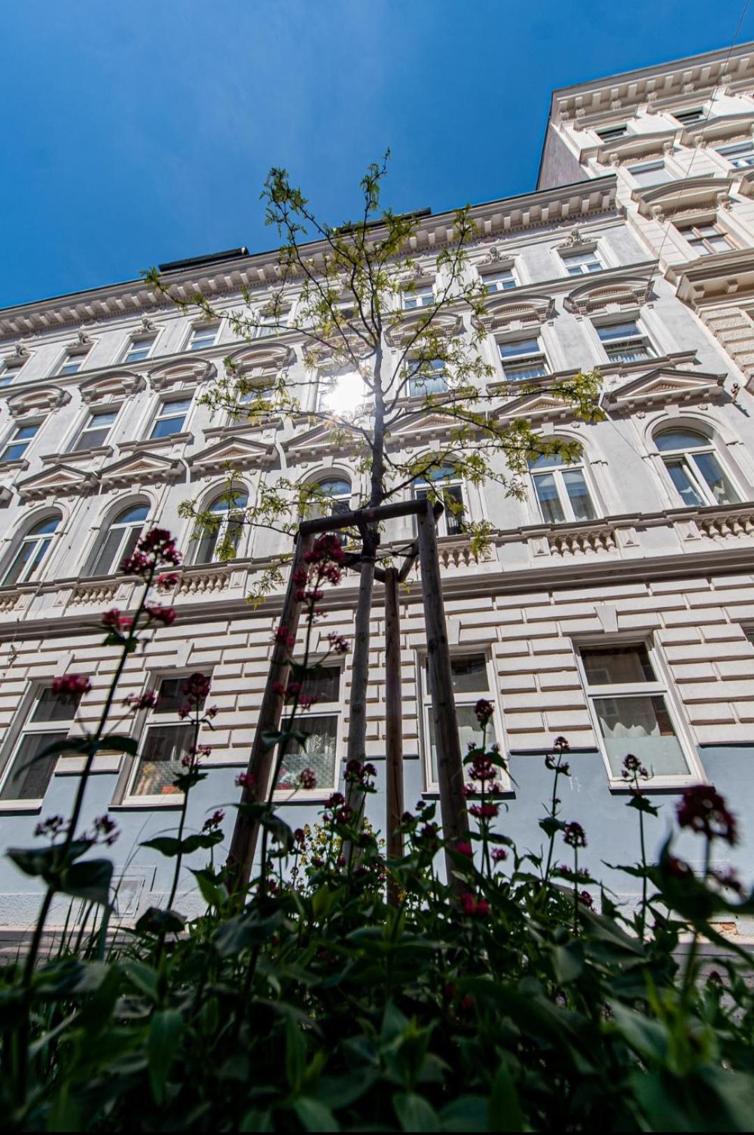 My City Garden View Viena