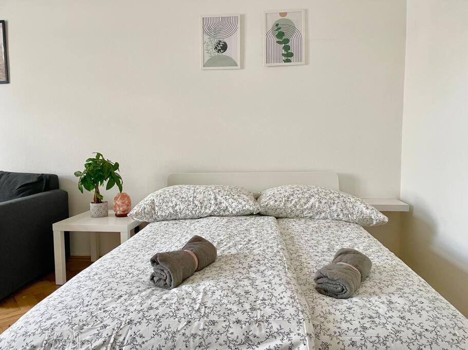Apartment 55m2 Stylish With Netflix - 15 Min To Center Vienna