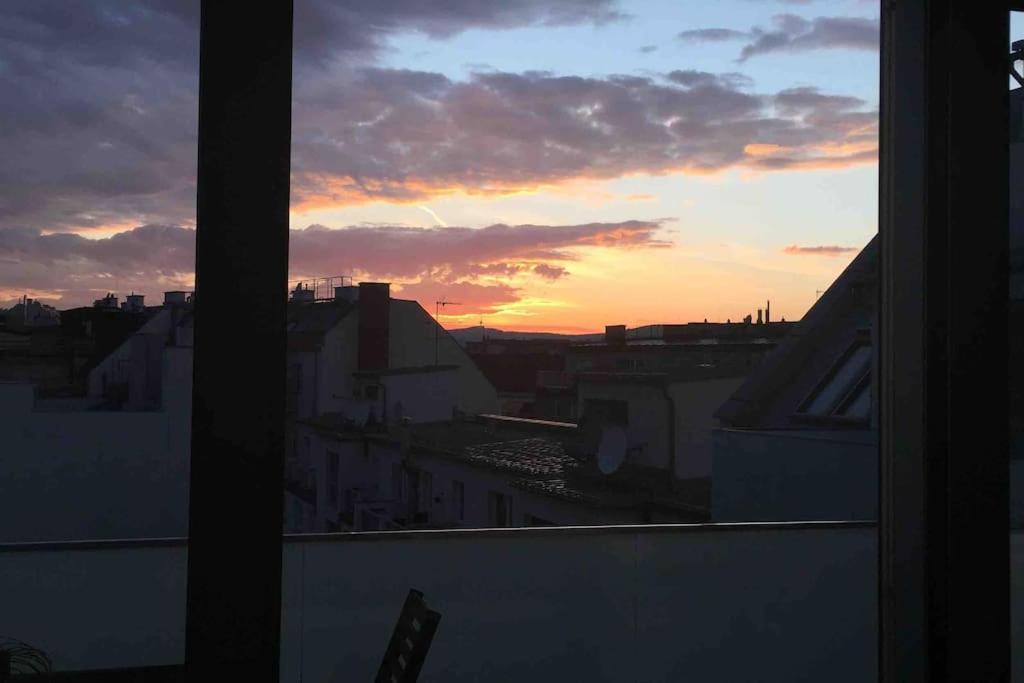 Rooftop In And Over Vienna