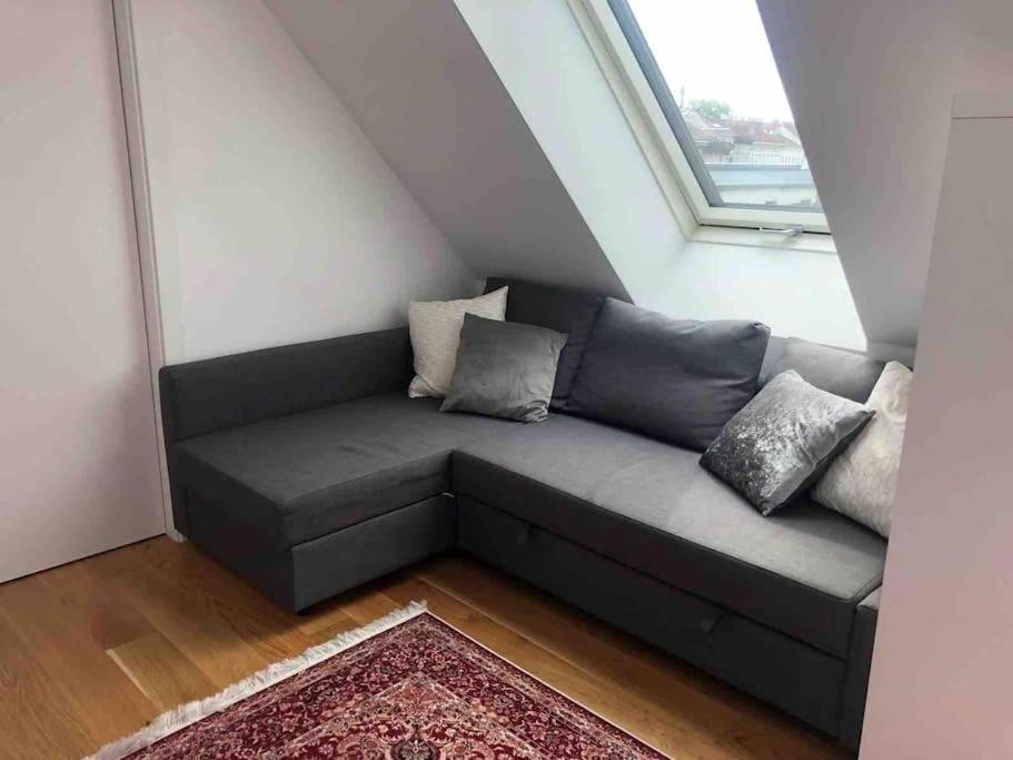 Rooftop In And Over Apartment Vienna