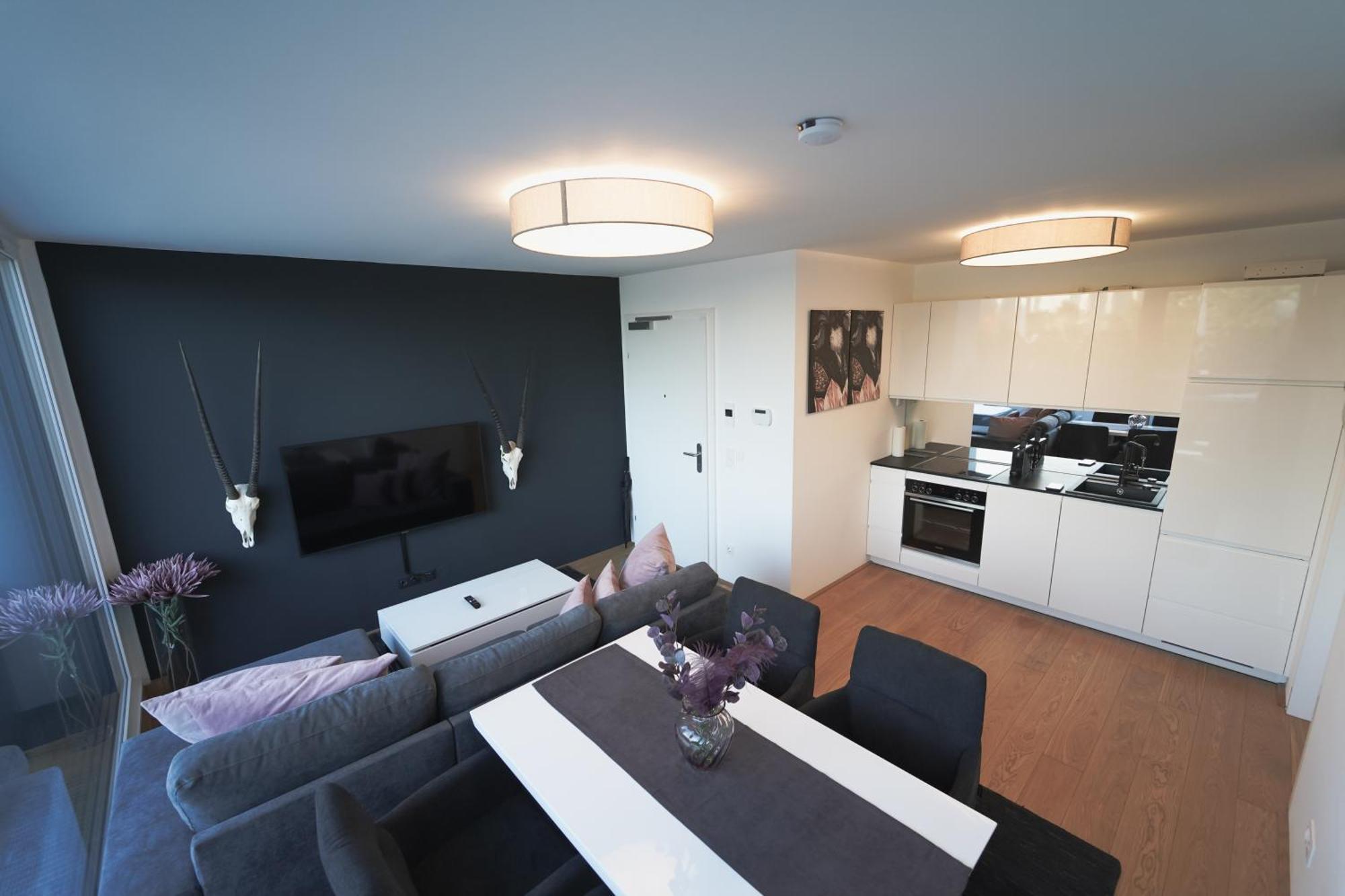 Modern Stylish Design With Free Parking Emily Apartment